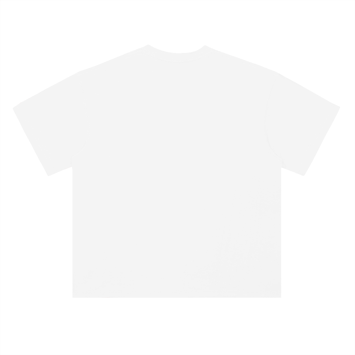 No Risk No Reward Tee (White)